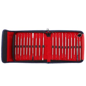 waldent conservative instrument kit of 20